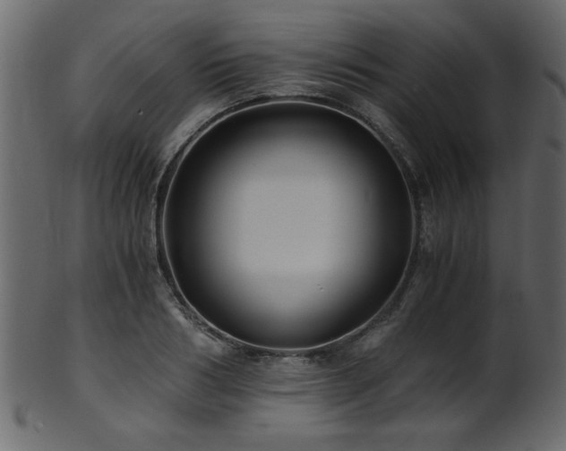 X0000101950986200807181446