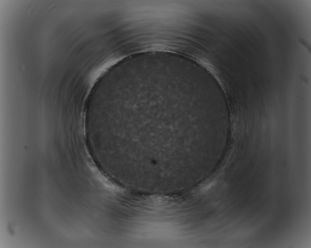 X0000101950987200807181446