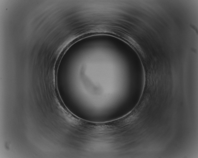 X0000101950988200807181446