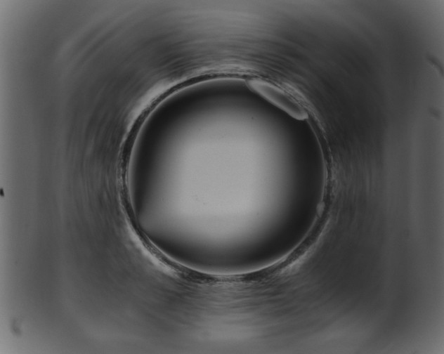 X0000101950989200807181446