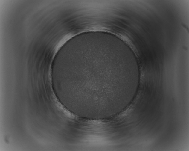 X0000101950990200807181446