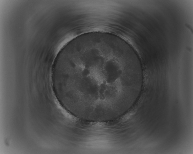 X0000101950991200807181446