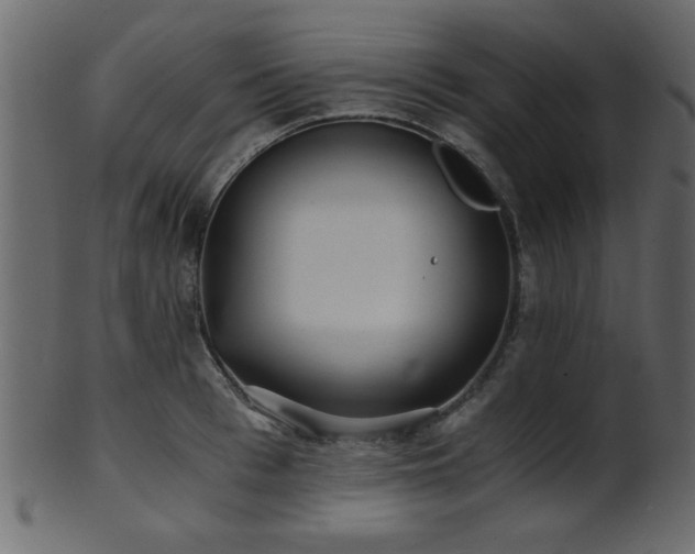 X0000101950993200807181446