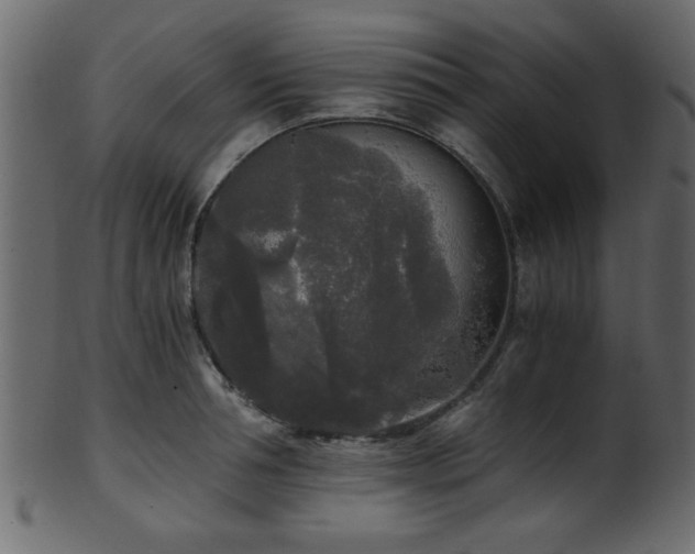 X0000101950994200807181446