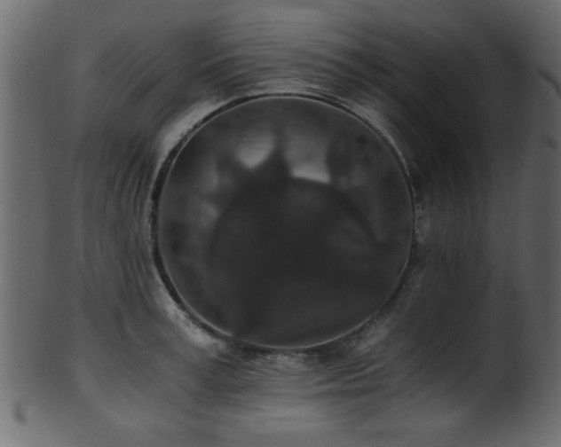 X0000101950995200807181446