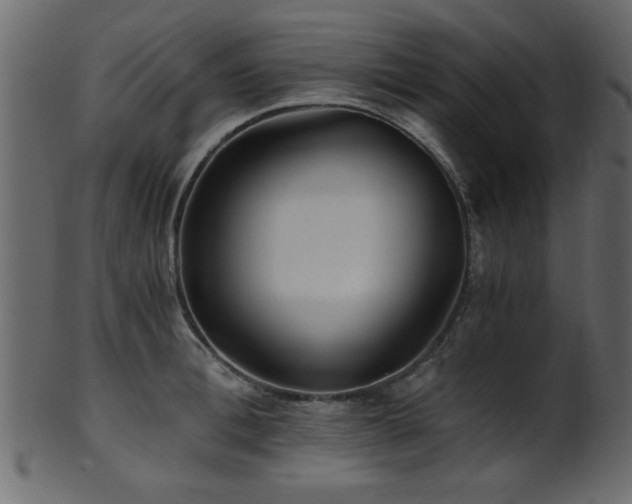 X0000101950996200807181446