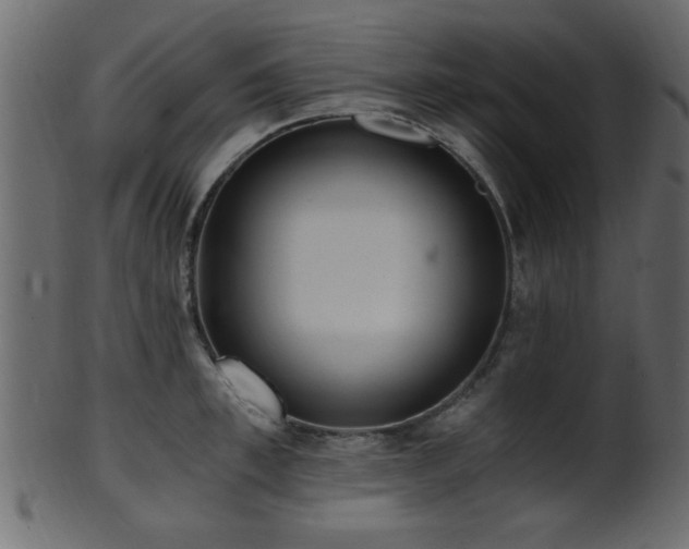 X0000101950997200807181446