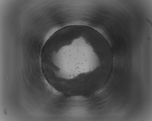 X0000101950998200807181446