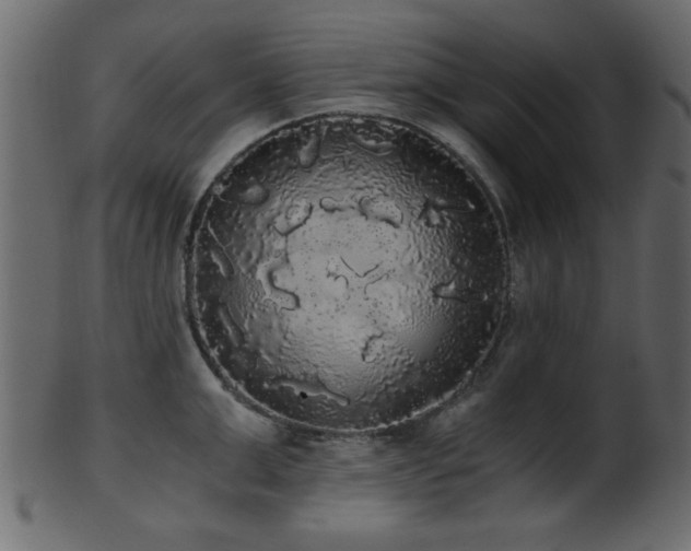 X0000101950999200807181446