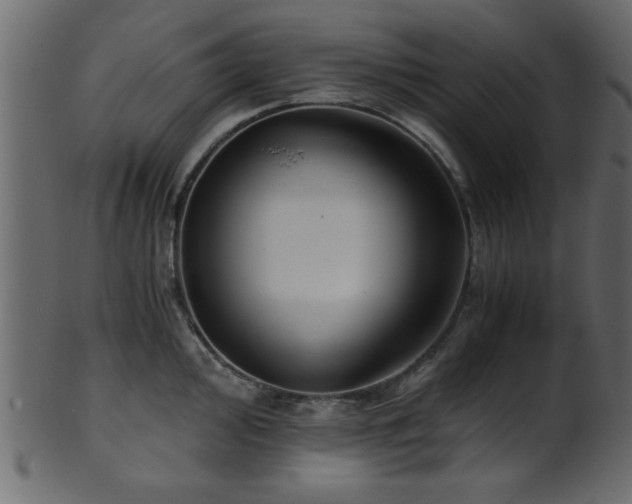 X0000101951000200807181446