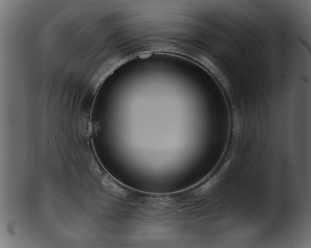 X0000101951001200807181446