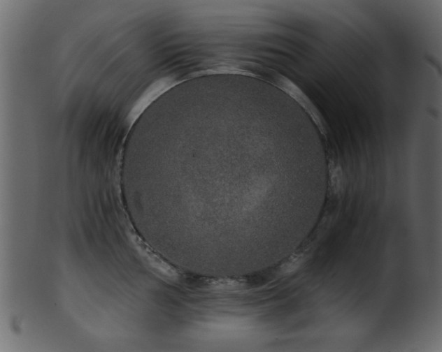 X0000101951002200807181446