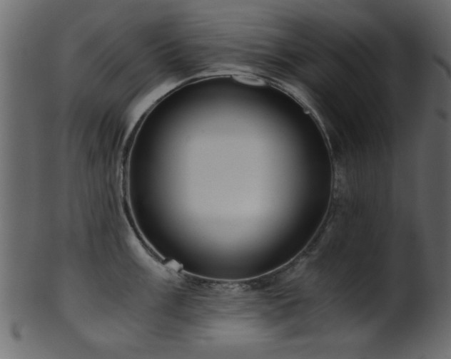 X0000101951003200807181446