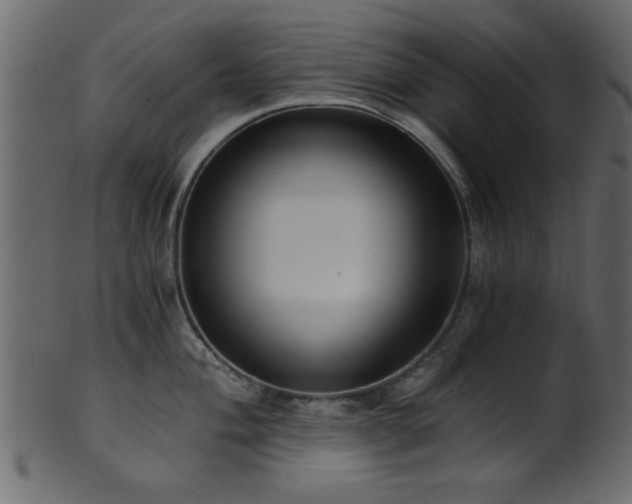 X0000101951004200807181446