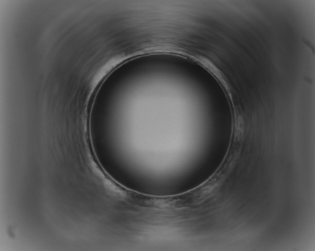 X0000101951005200807181446