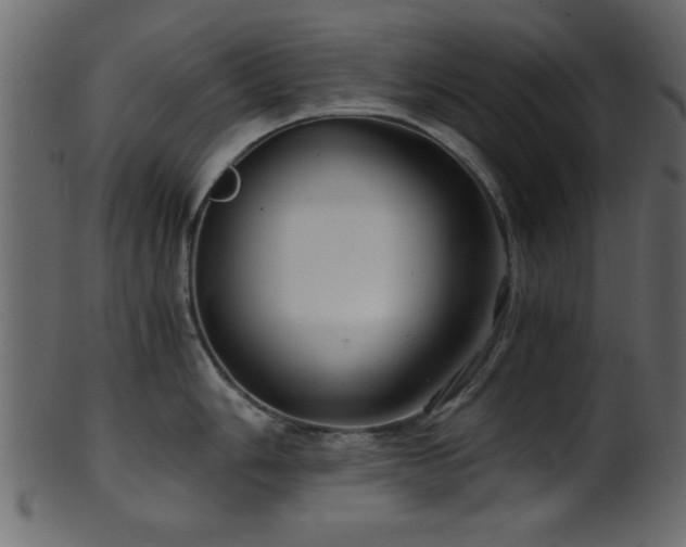 X0000101951006200807181446