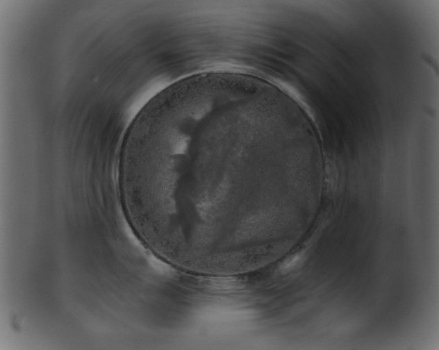 X0000101951007200807181446