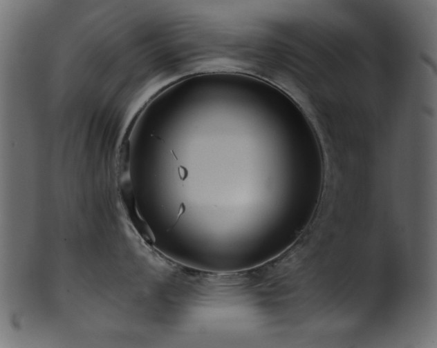 X0000101951008200807181446