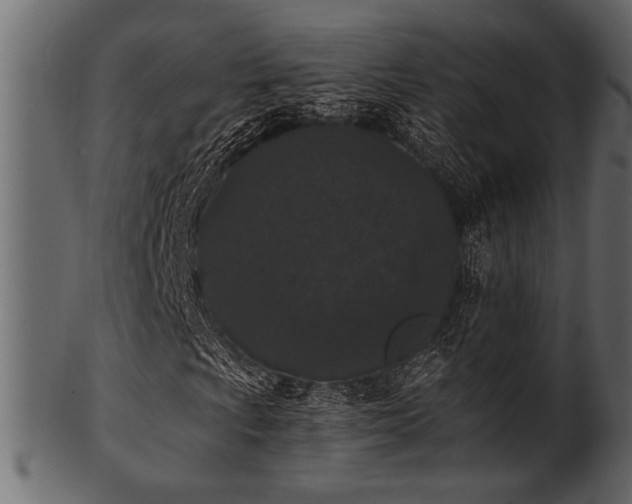 X0000101951009200807181445