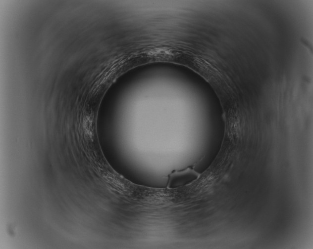 X0000101951010200807181445