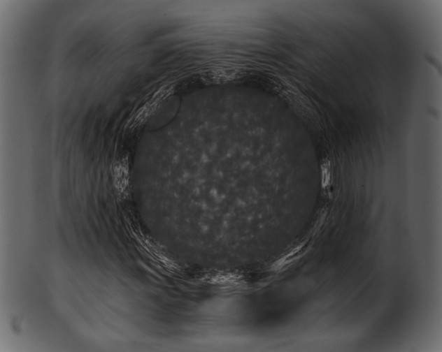 X0000101951011200807181445