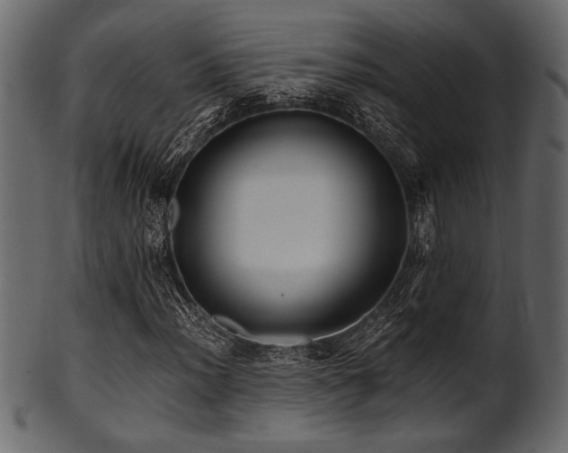 X0000101951012200807181445