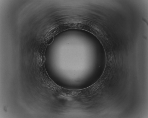 X0000101951013200807181445