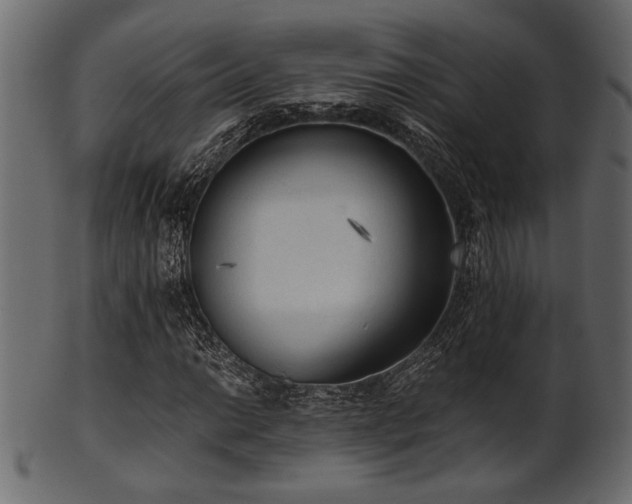 X0000101951014200807181445