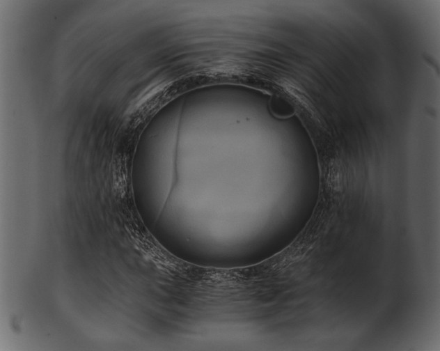 X0000101951015200807181445