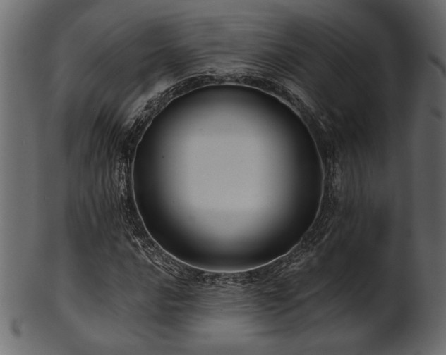 X0000101951016200807181446