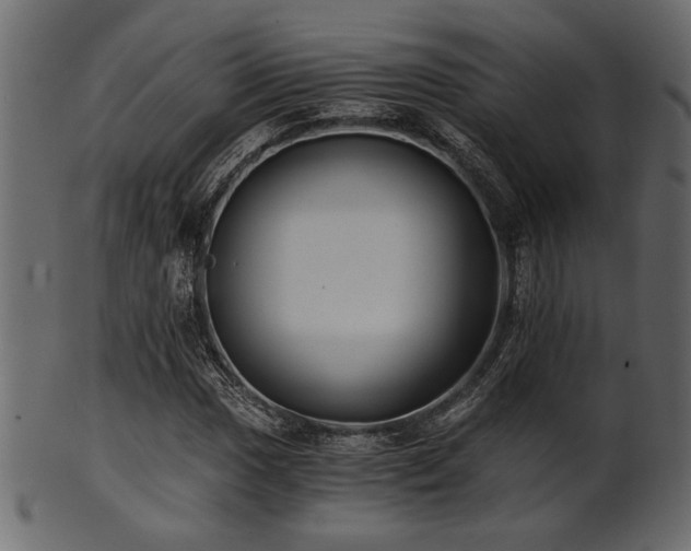 X0000101951017200807181446