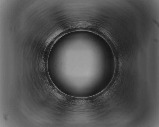 X0000101951018200807181446