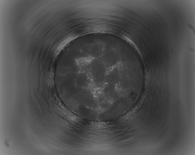 X0000101951019200807181446