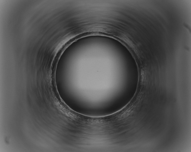 X0000101951020200807181446