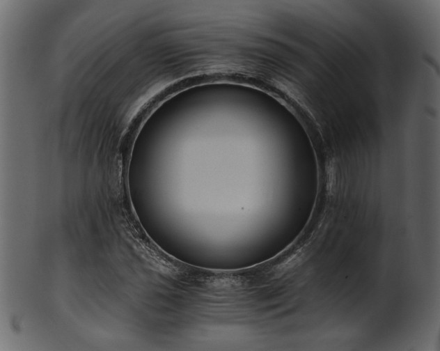 X0000101951021200807181446