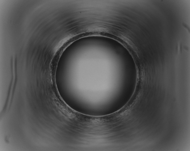 X0000101951022200807181446