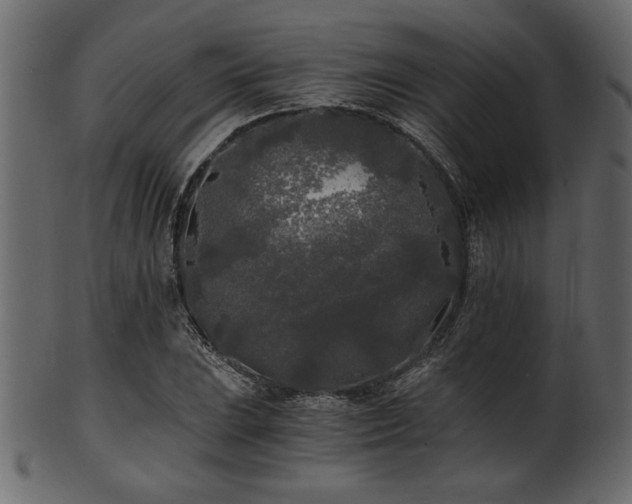 X0000101951023200807181446