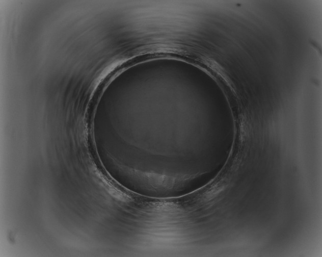 X0000101951024200807181446