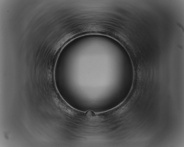 X0000101951025200807181446