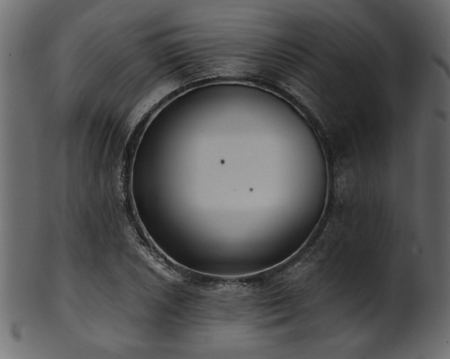 X0000101951026200807181446