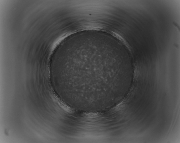 X0000101951027200807181446