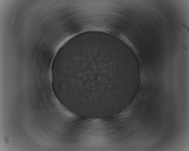 X0000101951028200807181446