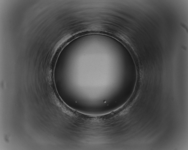 X0000101951029200807181446