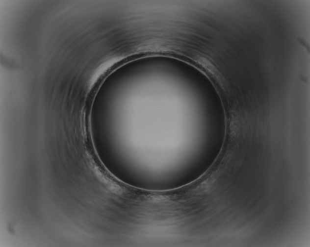 X0000101951030200807181446