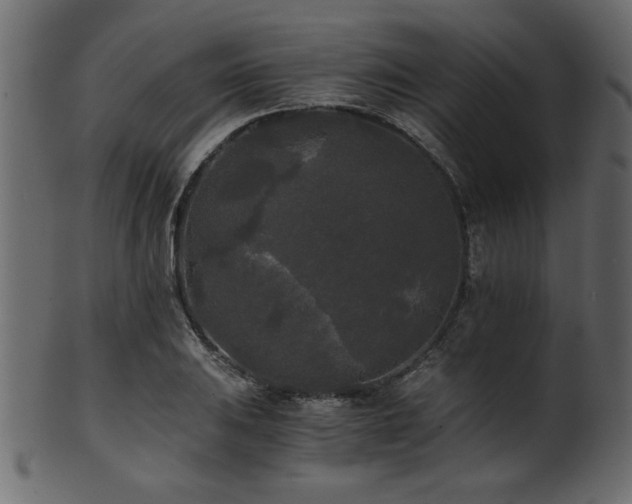 X0000101951031200807181446