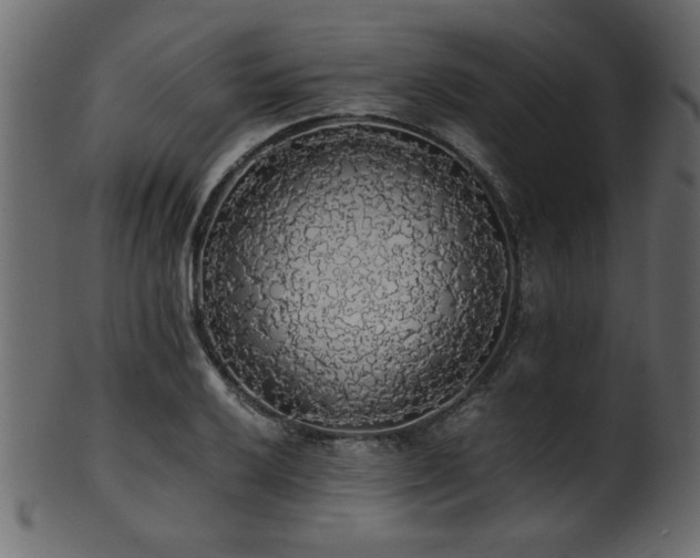 X0000101951032200807181446