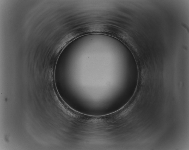 X0000101951033200807181446