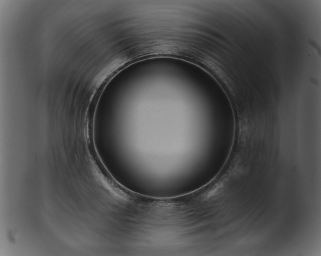 X0000101951034200807181446