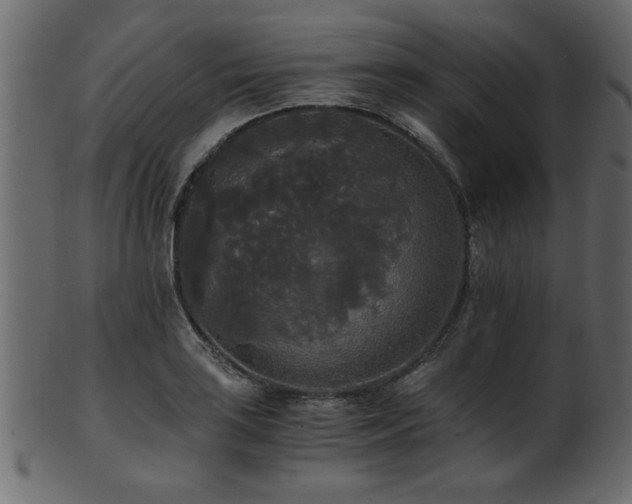 X0000101951035200807181446