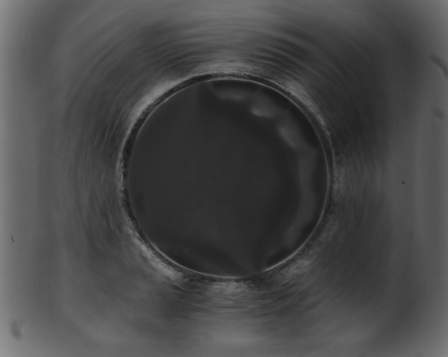 X0000101951037200807181446